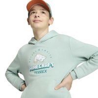 adidas Minecraft Terrex Hoodie Kinder - hazgrn