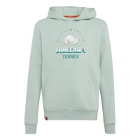 adidas Minecraft Terrex Hoodie Kinder - hazgrn