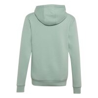 adidas Minecraft Terrex Hoodie Kinder - hazgrn