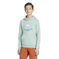 adidas Minecraft Terrex Hoodie Kinder - hazgrn
