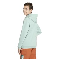 adidas Minecraft Terrex Hoodie Kinder - hazgrn