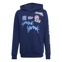 adidas LY Ani Graphic Hoodie Kinder - dkblue