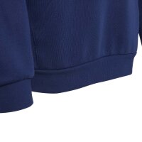 adidas LY Ani Graphic Hoodie Kinder - dkblue