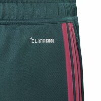 adidas Trainingshose Kinder - aurivy