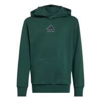 adidas Slogan Fleece Hoodie Kinder - cgreen