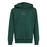 adidas Slogan Fleece Hoodie Kinder - cgreen