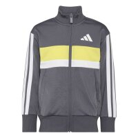 adidas Seasonal Essentials Tiberio 3 Stripes Tricot...