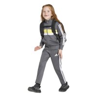 adidas Seasonal Essentials Tiberio 3 Stripes Tricot Trainingsanzug Kinder - grefiv/white/purlem