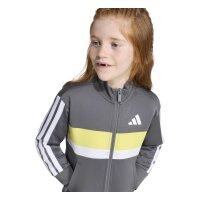 adidas Seasonal Essentials Tiberio 3 Stripes Tricot Trainingsanzug Kinder - grefiv/white/purlem