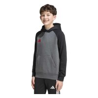 adidas Tiro ES Fleechy Hoodie Kinder - dgreyh/black/betsca