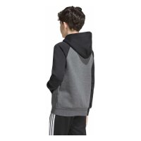 adidas Tiro ES Fleechy Hoodie Kinder - dgreyh/black/betsca