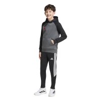 adidas Tiro ES Fleechy Hoodie Kinder - dgreyh/black/betsca