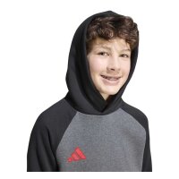 adidas Tiro ES Fleechy Hoodie Kinder - dgreyh/black/betsca