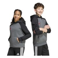 adidas Tiro ES Fleechy Hoodie Kinder - dgreyh/black/betsca