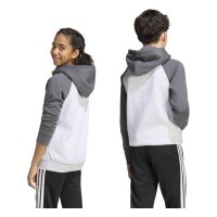 adidas Tiro ES Fleechy Hoodie Kinder - lgreyh/grefiv/black