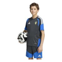 adidas Leeds United Tiro Training Trikot Kinder - carbon/blue