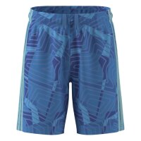 adidas Tiro 26 Competition Torwart kurze Hose Kinder - pulblu