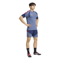 adidas FC Bayern Tiro 25 Competition Downtime kurze Hose Herren - nindig/prloin