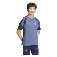 adidas FC Bayern Tiro 24 Competition Sweat T-Shirt Kinder...