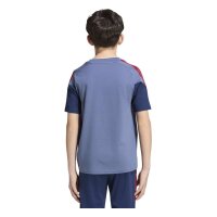 adidas FC Bayern Tiro 24 Competition Sweat T-Shirt Kinder - prloin/nindig