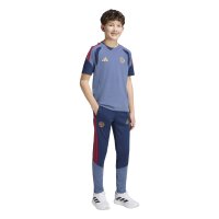adidas FC Bayern Tiro 24 Competition Sweat T-Shirt Kinder - prloin/nindig