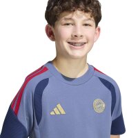 adidas FC Bayern Tiro 24 Competition Sweat T-Shirt Kinder - prloin/nindig