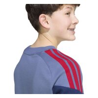 adidas FC Bayern Tiro 24 Competition Sweat T-Shirt Kinder - prloin/nindig