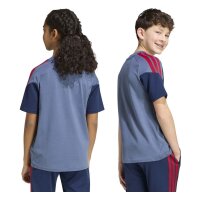 adidas FC Bayern Tiro 24 Competition Sweat T-Shirt Kinder - prloin/nindig