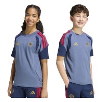 adidas FC Bayern Tiro 24 Competition Sweat T-Shirt Kinder - prloin/nindig