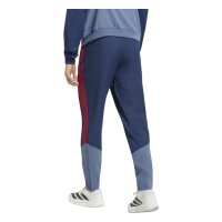 adidas FC Bayern Tiro 25 Competition Presentation Hose lang Herren - nindig/prloin