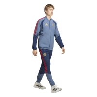 adidas FC Bayern Tiro 25 Competition Presentation Hose lang Herren - nindig/prloin