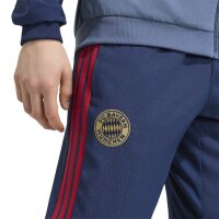 adidas FC Bayern Tiro 25 Competition Presentation Hose lang Herren - nindig/prloin