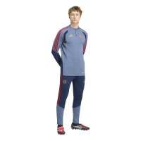 adidas FC Bayern Tiro 25 Competition Training Trainingsjacke Herren - prloin/nindig