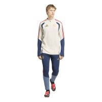 adidas FC Bayern Tiro 25 Competition Training Trainingsjacke Herren - aluminium/nindig