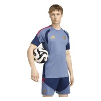adidas FC Bayern Tiro 25 Competition Training Trikot Herren - prloin/nindig