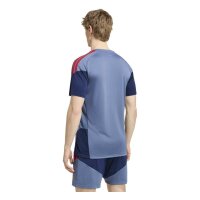 adidas FC Bayern Tiro 25 Competition Training Trikot Herren - prloin/nindig