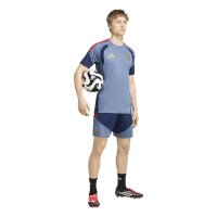 adidas FC Bayern Tiro 25 Competition Training Trikot Herren - prloin/nindig