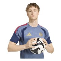 adidas FC Bayern Tiro 25 Competition Training Trikot Herren - prloin/nindig