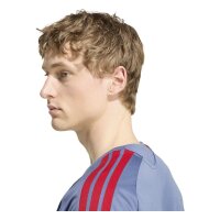 adidas FC Bayern Tiro 25 Competition Training Trikot Herren - prloin/nindig