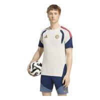 adidas FC Bayern Tiro 25 Competition Training Trikot Herren - aluminium/nindig