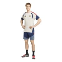 adidas FC Bayern Tiro 25 Competition Training Trikot Herren - aluminium/nindig