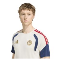 adidas FC Bayern Tiro 25 Competition Training Trikot Herren - aluminium/nindig