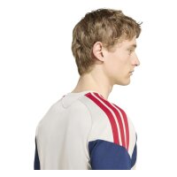 adidas FC Bayern Tiro 25 Competition Training Trikot Herren - aluminium/nindig