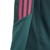 adidas Real Madrid Tiro 25 Competition Trainingsanzug Kinder - aurivy/wilpnk