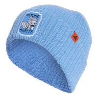 adidas Mine Beanie - blubrs