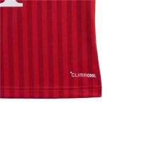 adidas FC Bayern Heim Babykit Trikotset Baby - betsca/white
