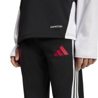 adidas FC Liverpool Training Trainingshose Kinder - black