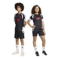 adidas FC Liverpool Training kurze Hose Kinder - black