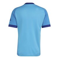 adidas FC Arsenal London Auswärts Torwart Trikot...