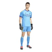 adidas FC Arsenal London Auswärts Torwart Trikot Herren - apskru